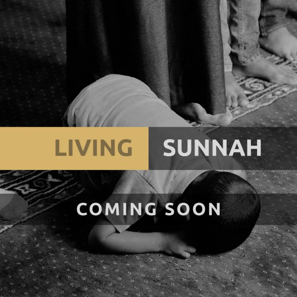 LIVING SUNNAH